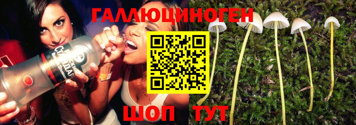 Сосновый Бор  Галлюциногенные грибы Magic Shrooms  Вход с VPN 