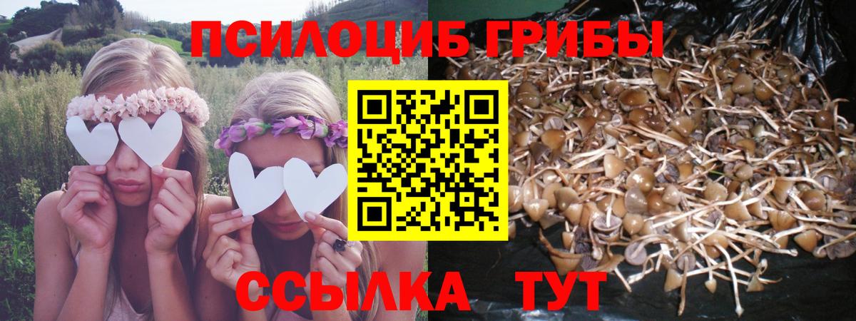 Псилоцибиновые грибы GOLDEN TEACHER Сосновый Бор